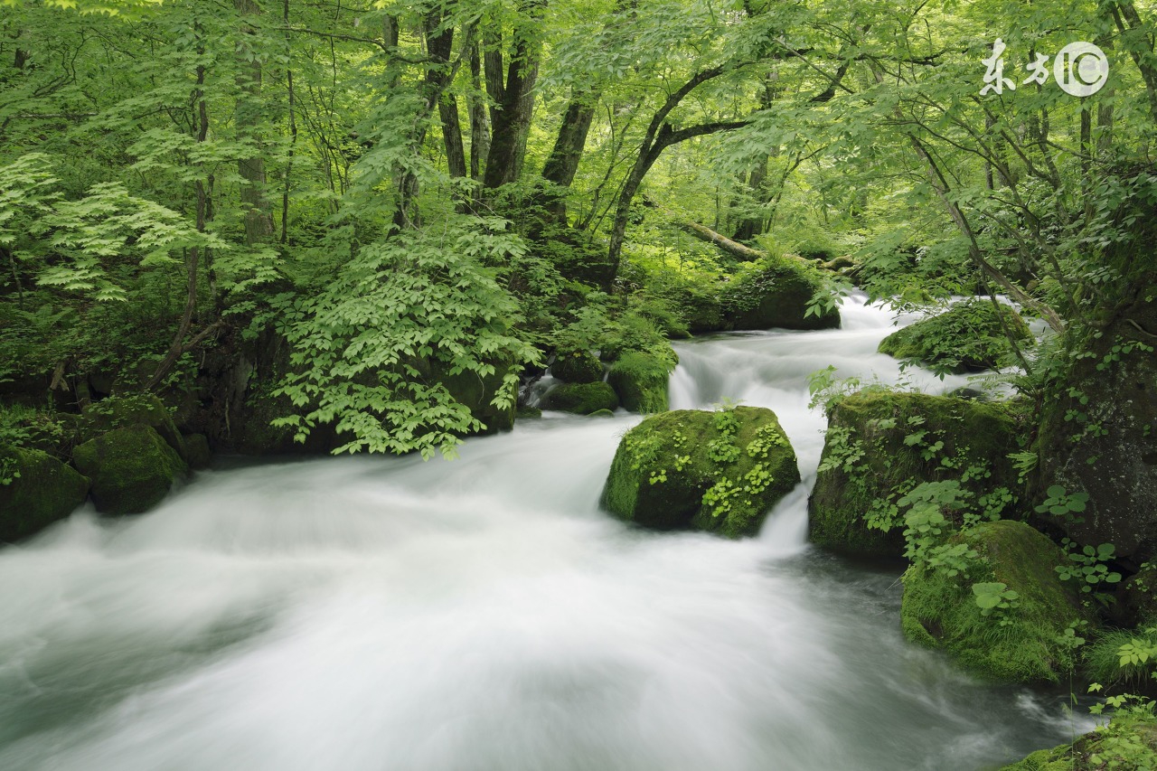 咨询心理学建立咨询关系视频,心理咨询的咨询关系
