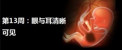 燕窝的正确炖法和吃法孕妇怎么吃 (怀孕期间孕妇什么时候吃燕窝最好)