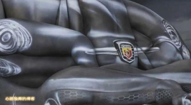 艺术家用自然物制作的作品图片,艺术家用自然的图案变成图谱