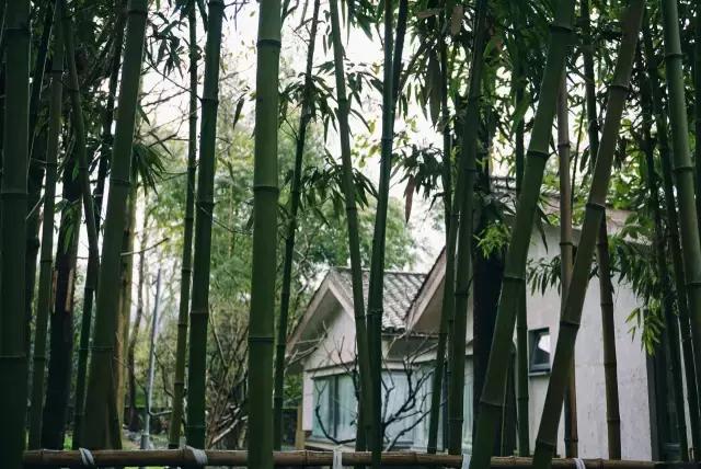 成都周边适合一家人度假民宿,成都出发两日游住民宿