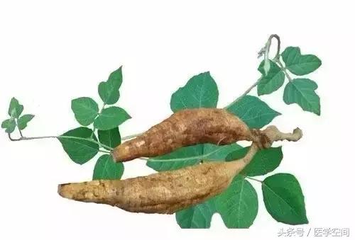 每天一味中药陈皮,每天一味中药图解