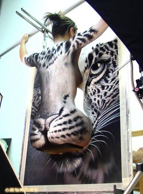 艺术家用自然物制作的作品图片,艺术家用自然的图案变成图谱