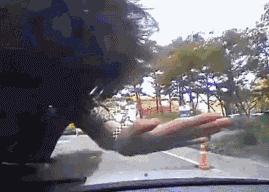 老司机教新手预防碰瓷,遇到碰瓷的正确的操作方法