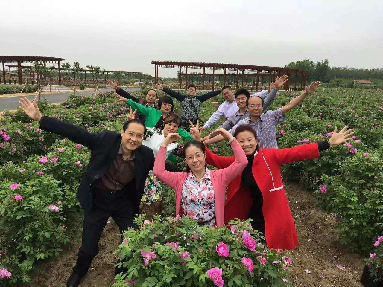 国际公益博览会,国际玫瑰博览会