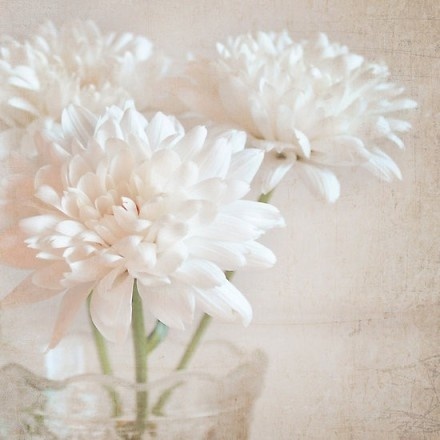 高龄女性想备孕先评估,38岁卵巢功能衰退如何怀二胎