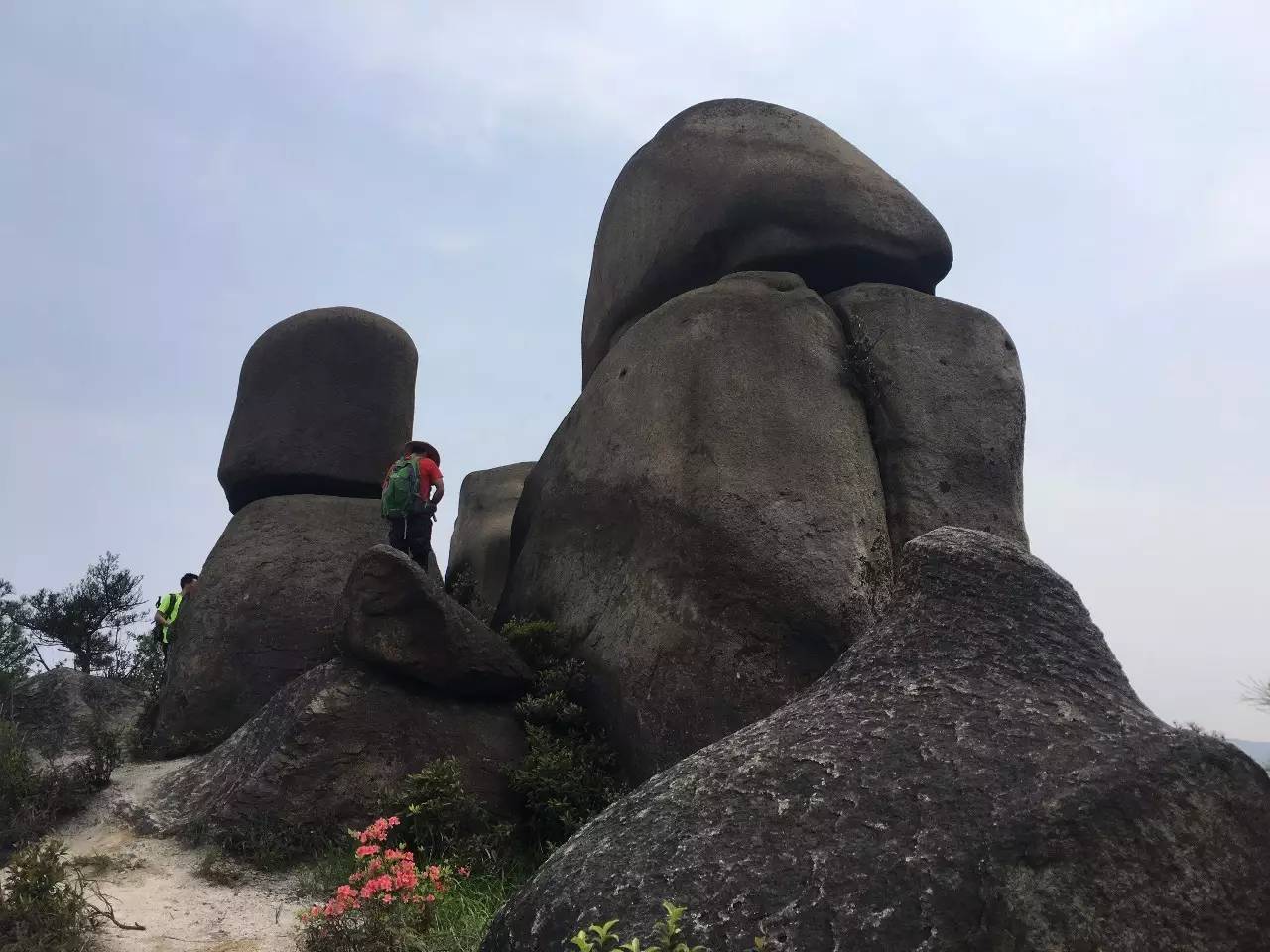 大罗山龙脊离百家尖有多远,大罗山瓯海一日游最佳路线图