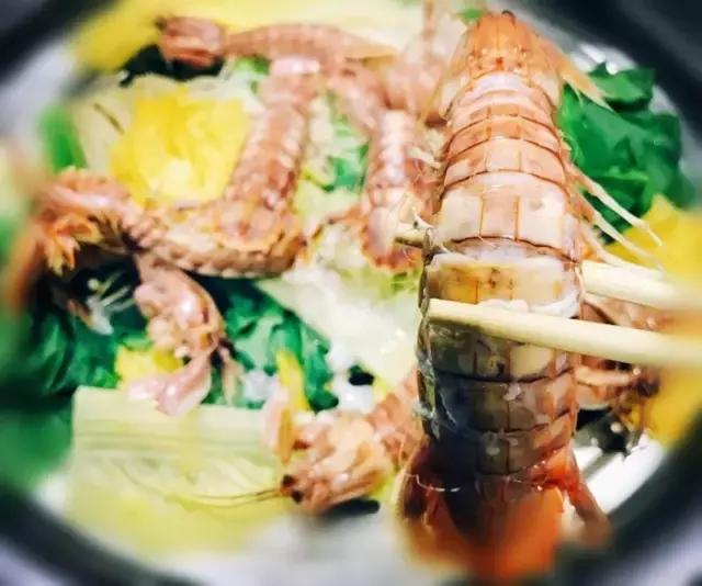 天津渤海皮皮虾,天津最好的皮皮虾