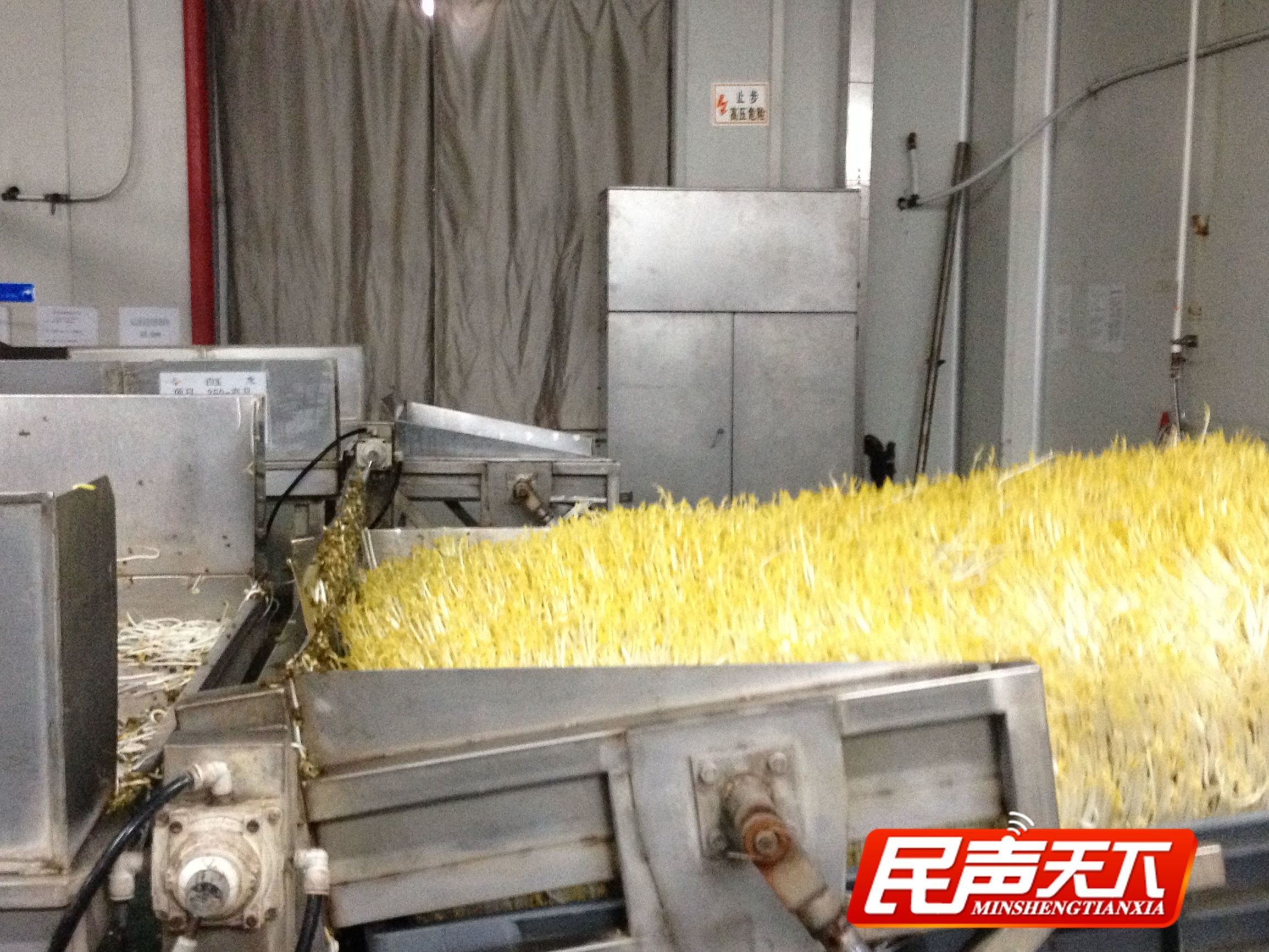 踏雪寻梅玉汝于成,白玉老字号