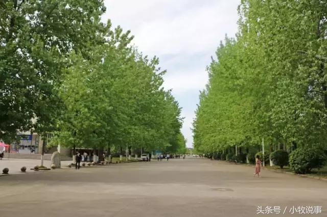 再见了四川大学,成都川大锦城学院