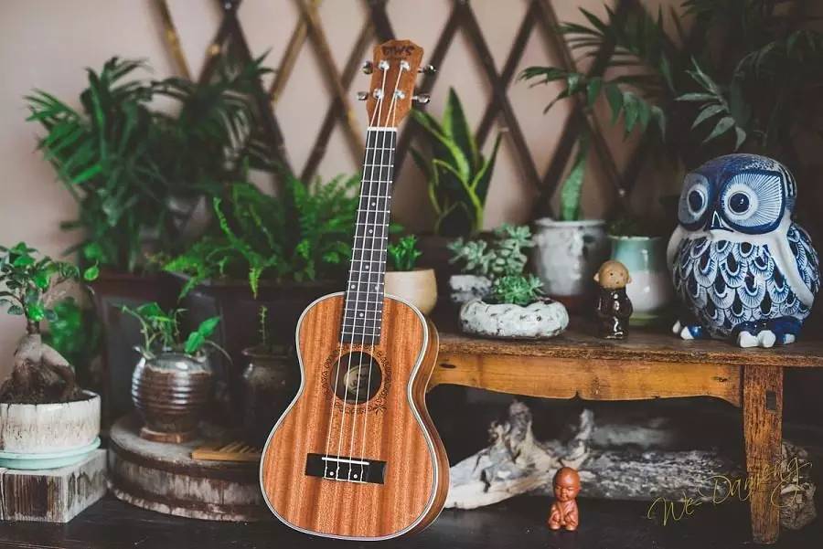 乐器小型尤克里里自学,小吉他尤克里里演奏