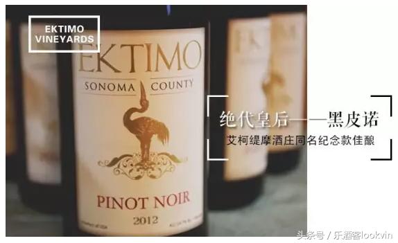 大师班葡萄酒,葡萄酒大师班