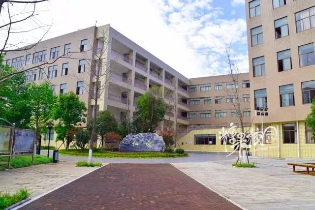 校园资讯开头,校园资讯栏目