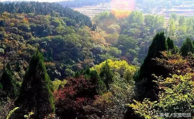 东营五一假期好去处,五一东营去哪里玩比较好