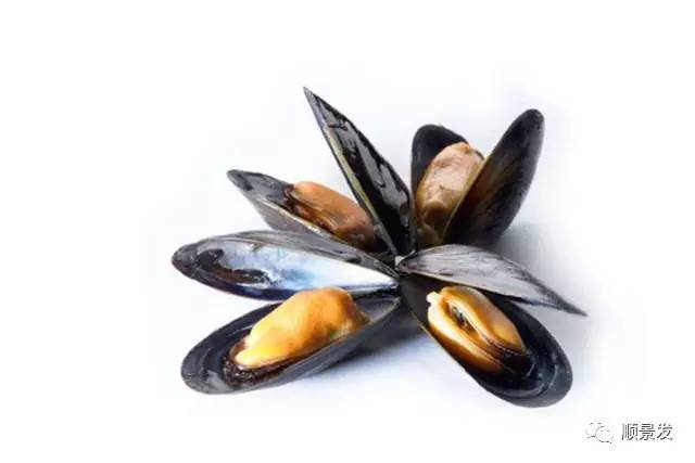 贝类海鲜的品种及图片大全,常见的贝类海鲜图片大全及名称
