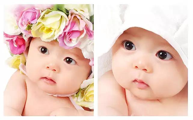 dha必买的产品 (值得推荐的dha)