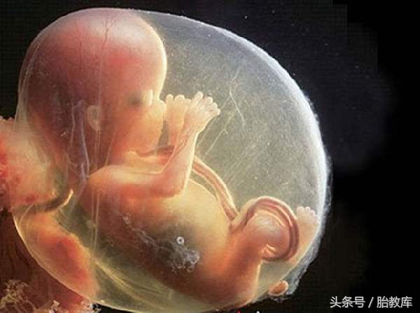 29周羊水指数正常范围,31周羊水指数正常范围