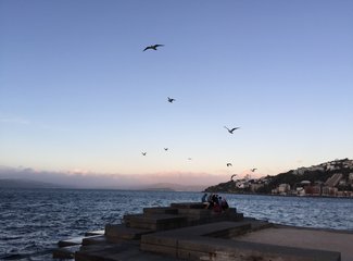 新西兰全景巴士,那些自驾游来不及知道的事儿(北岛+南岛超多公共交通实用信息各类购票详细教程InterCity)