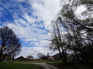 新西兰全景巴士,那些自驾游来不及知道的事儿(北岛+南岛超多公共交通实用信息各类购票详细教程InterCity)