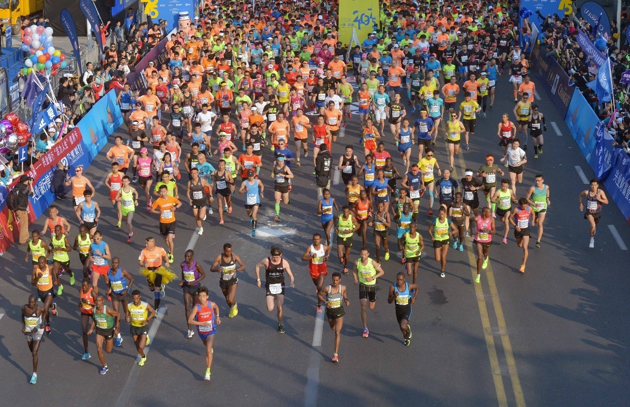 上海浦东风景,浦东沿路风景最美的路