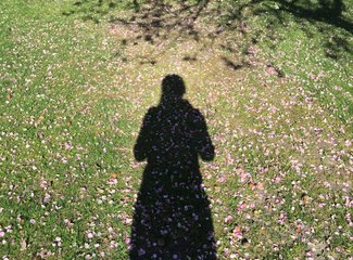 新西兰全景巴士,那些自驾游来不及知道的事儿(北岛+南岛超多公共交通实用信息各类购票详细教程InterCity)