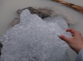 致敬·新西兰OnceisforAll