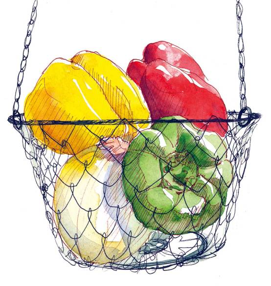 水彩画入门基础知识大全,水彩画水墨画有什么区别基础知识