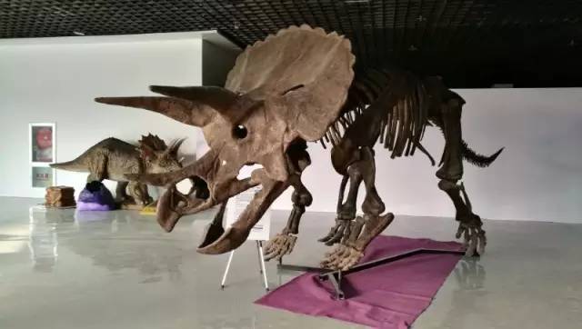 赶快出发!黄石与你有一段“矿世奇缘”，来矿博园找回我们“三生三世”的记忆吧