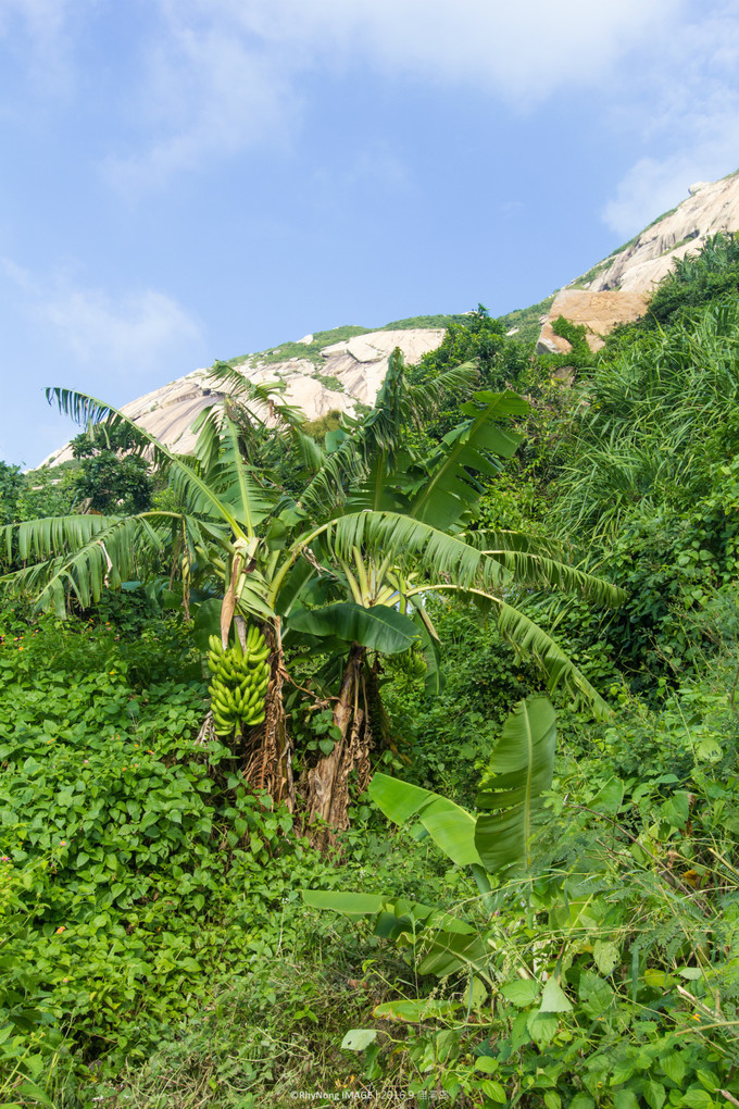 夏日沙滩玩水letsgo,letsgo夏日旅行