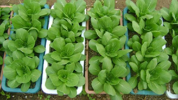 小本投资创业做什么好,小本投资创业项目网