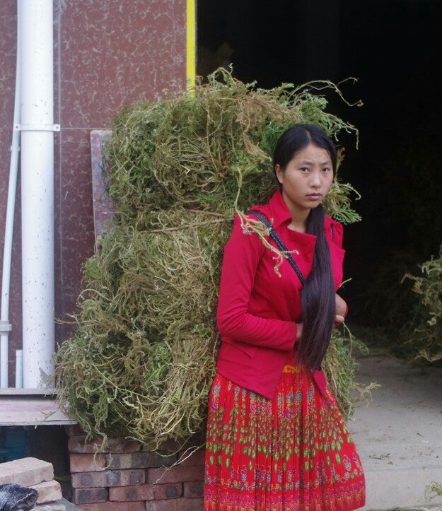 广西女孩选择嫁江浙沪不,广西女孩适合做老婆吗