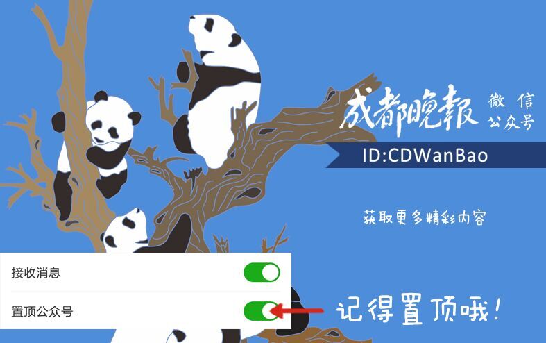 关关乔欣现实版曲筱绡,曲筱绡关关