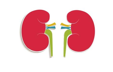 肾功能不全的早期症状和不适表现,肾功能不全的治疗和注意事项