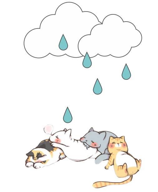 天气热宠物怎么样养好,天气热了宠物应该注意什么