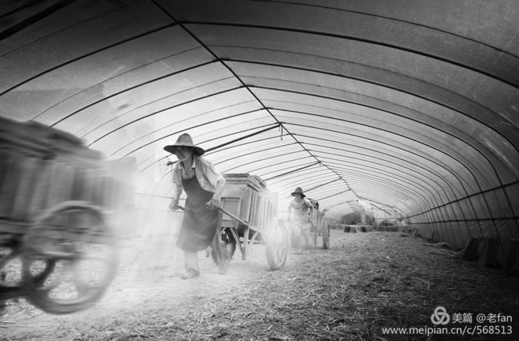 向劳动者致敬的手艺,劳动最美手艺精良