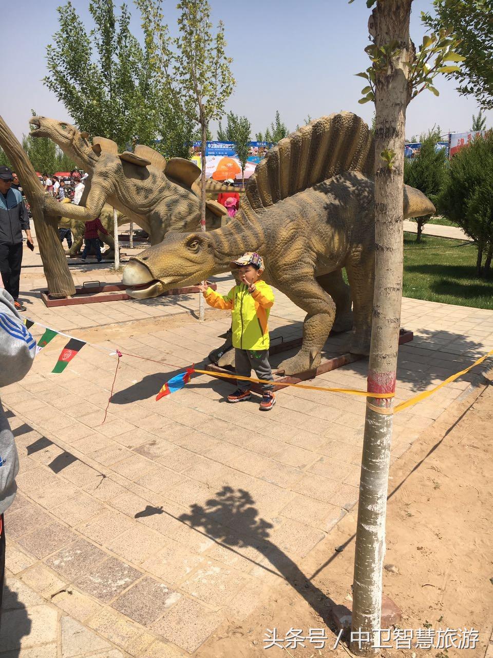 五一中卫旅游免费,中卫五一活动