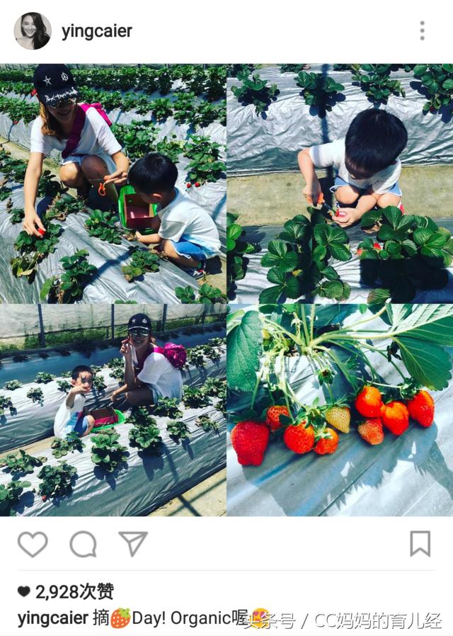 五一放假了带宝贝去旅游吧,明星五一带娃玩