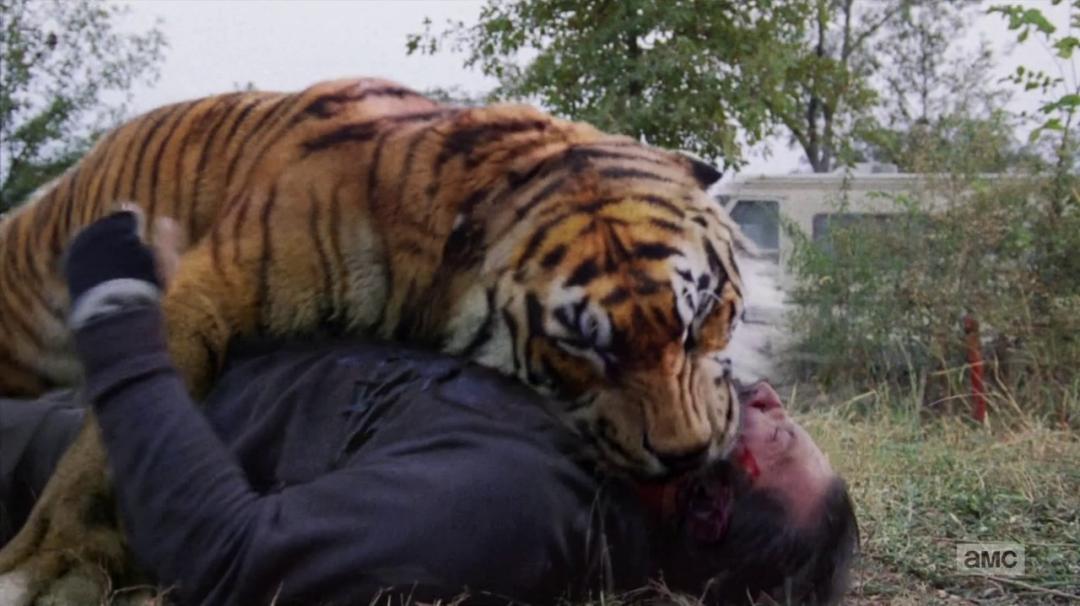 行尸走肉第七季编剧,行尸走肉第七季全部解说