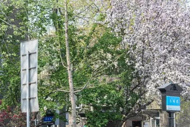 天津五大道百年建筑,天津五大道最美小洋楼欣赏