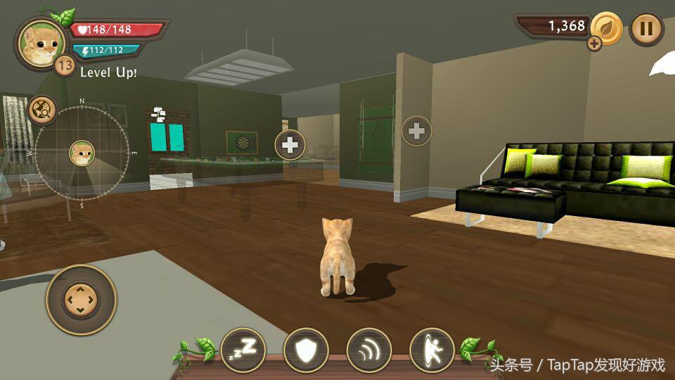 猫咪生存模拟器怎么玩,猫咪生存模拟怎么驯服小猫咪