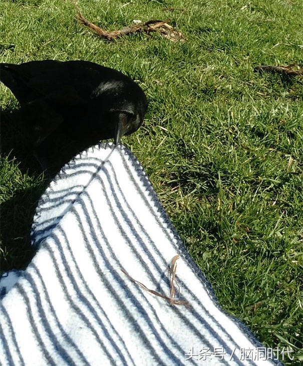 来！给鸦哥上支烟！