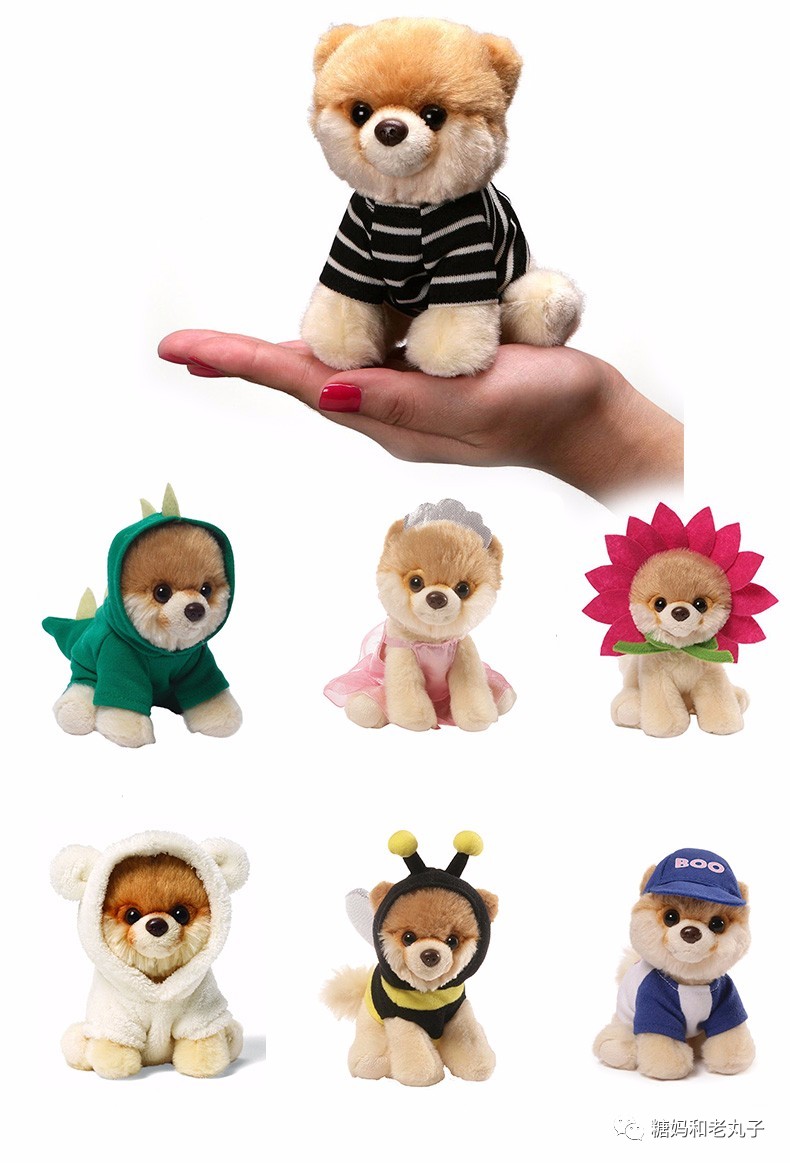 钱会花光人会散它萌不会离开你