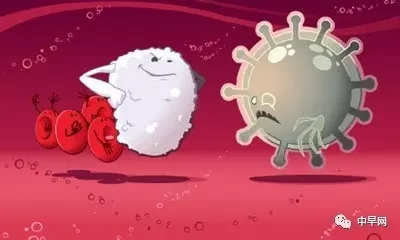 早产儿需要补益生菌和dha吗,爱益森益生菌适合早产儿宝宝吗