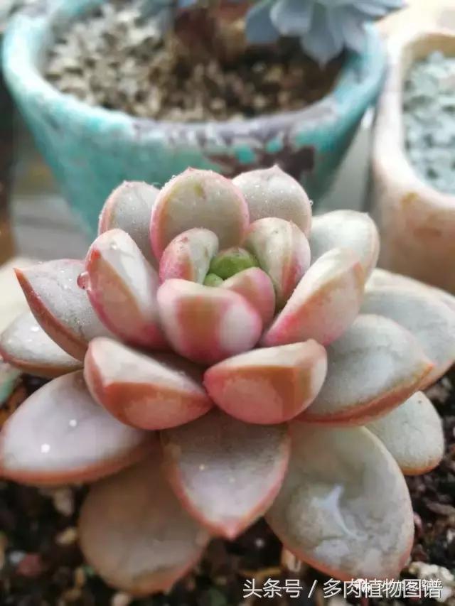 入坑半年的经历,入坑五个月总结