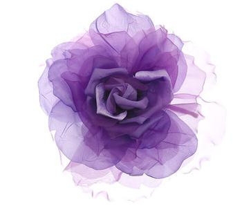 兰蔻法式玫瑰园,兰蔻奇迹香氛奇迹绽放