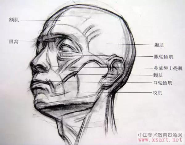 蔡海晨素描零基础入门系列教程,手把手教你从零基础开始学素描