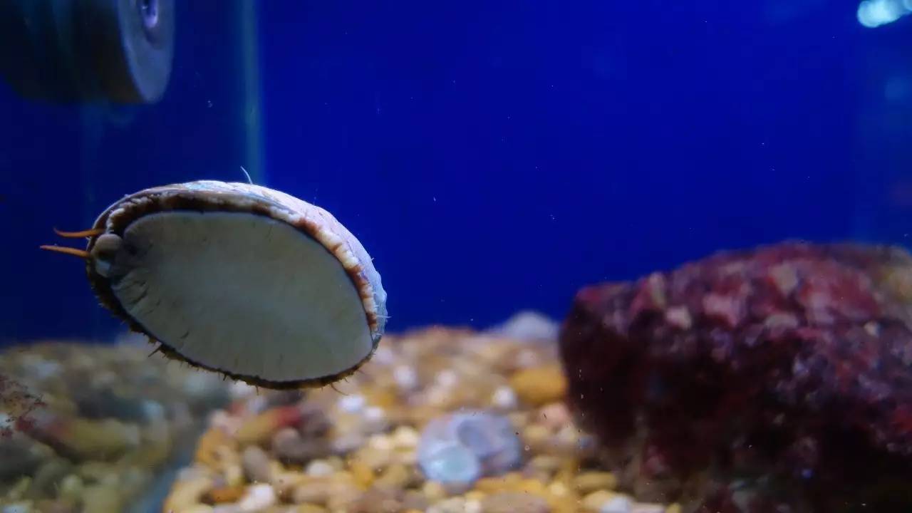 大连好玩的地方滨海路,大连东北路有什么好玩的