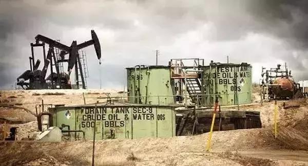 两富二代大量炸毁化石，开枪埋雷不惜破产，竟是为了*论发**文争名利