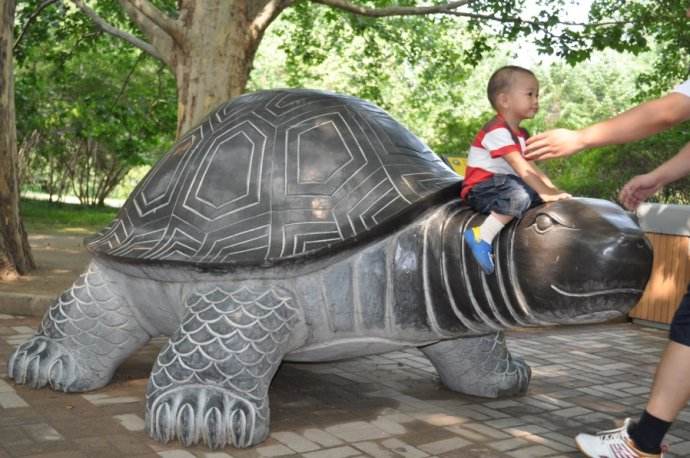 宠物医生无意间说出了多年秘密，养龟族速看