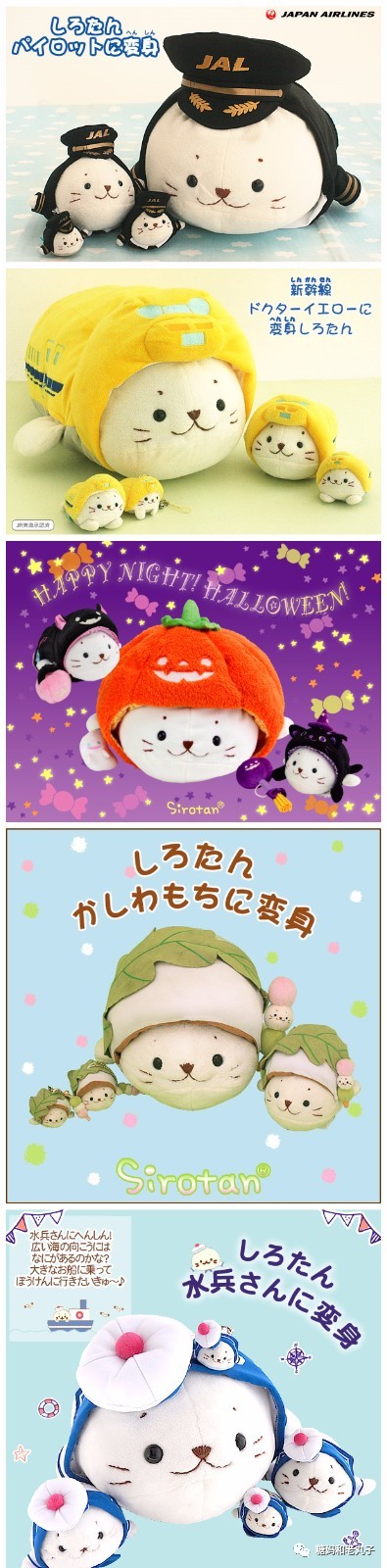 钱会花光人会散它萌不会离开你