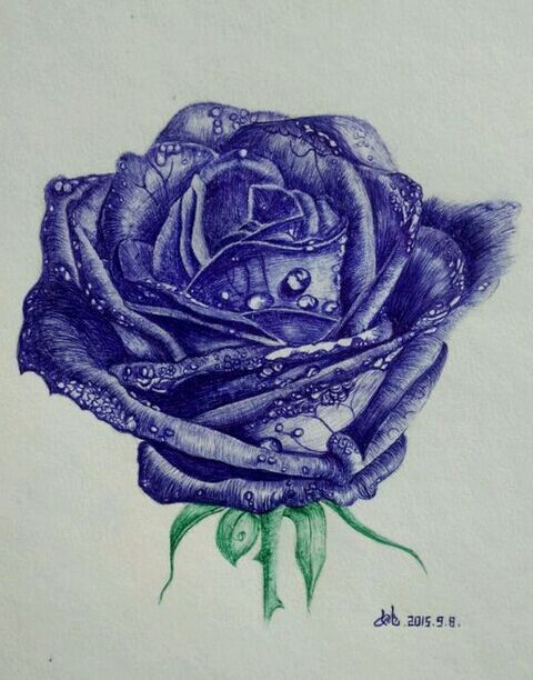 秘密花园2涂色成品,秘密花园涂色详细教程